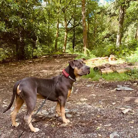 Casa vacanze Luxury Pet Friendly 3 Bedroom With Copper Bath *